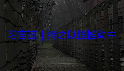 之以恒推动中俄关系高习言道持水平发展